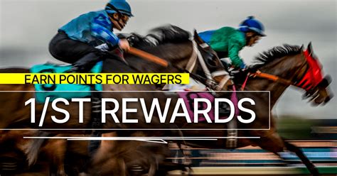 xpressbet drf bets|Bet Horse Racing Online .